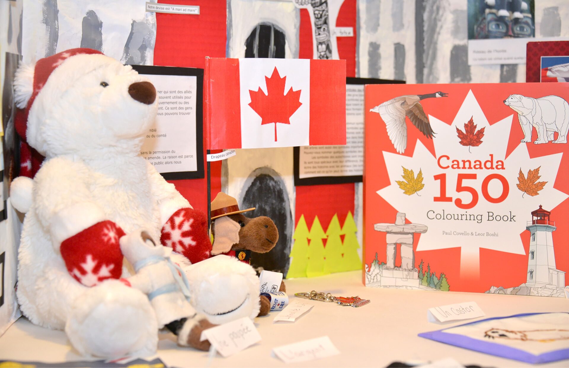Stuffed toys of a bear and a moose, Canada flag and a book