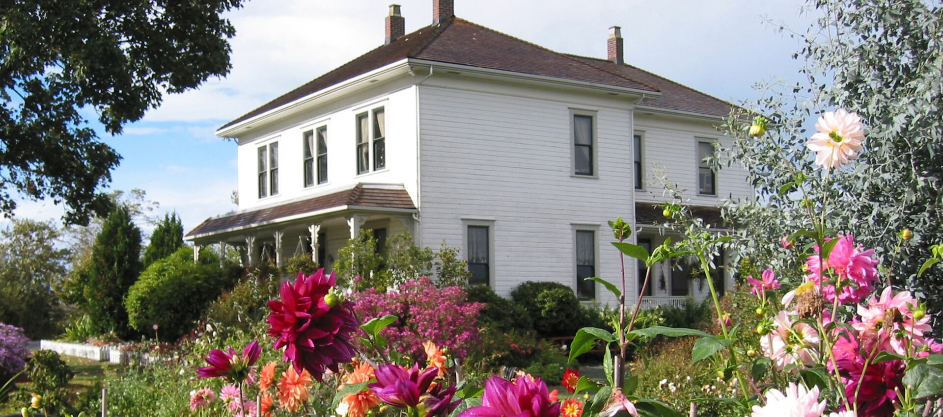 A house with a beautiful garden