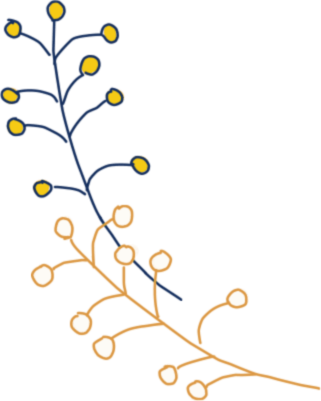 decorative illustration of a plant's branch with berries