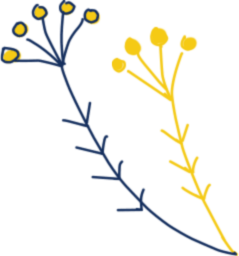 Illustration of flowers