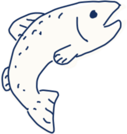 Illustration of a fish