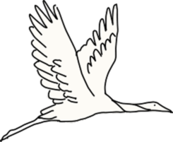 Illustration of a flying white bird