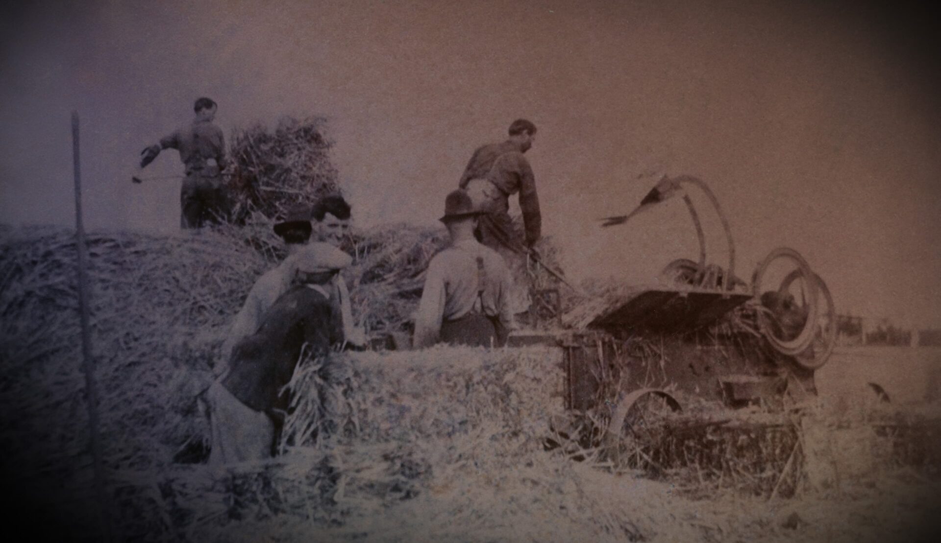 Photo of five farmers working in a field